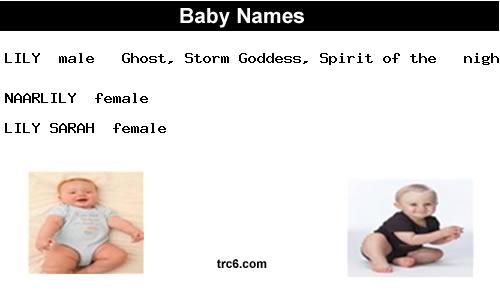 naarlily baby names